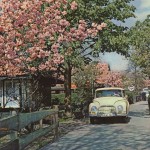 DKW calender-mar-2 1962
